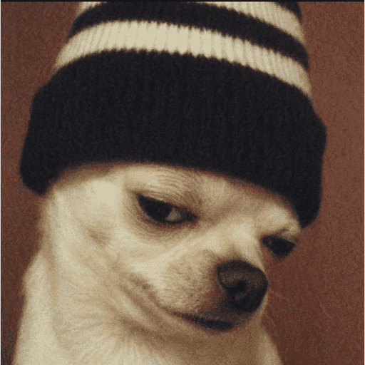 Cachorros engraçados  15
