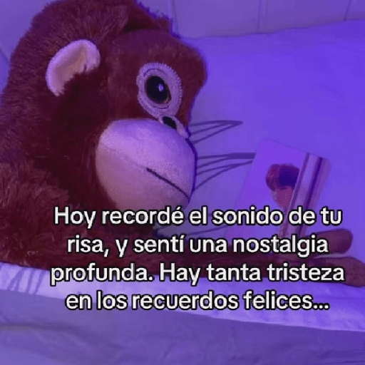 🧿Punch Frases♥️🦧🐒 16