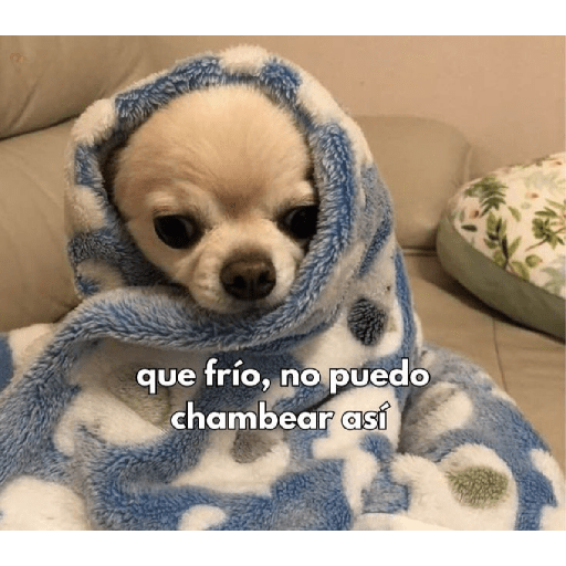 Frases de trabajo 😹 6