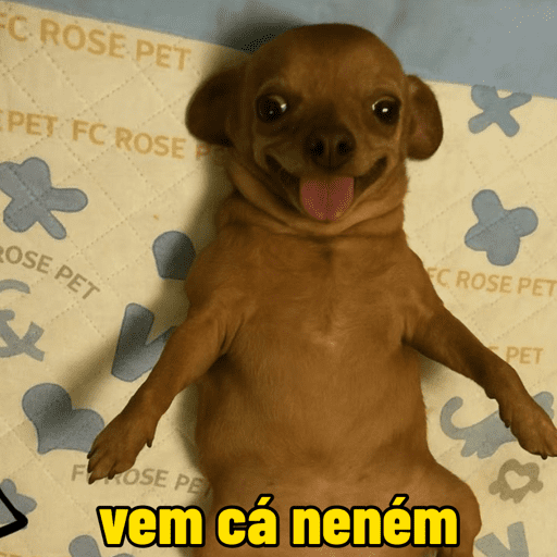Memes cachorros 1