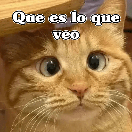 🧿Dilo con Michis2🐱 13