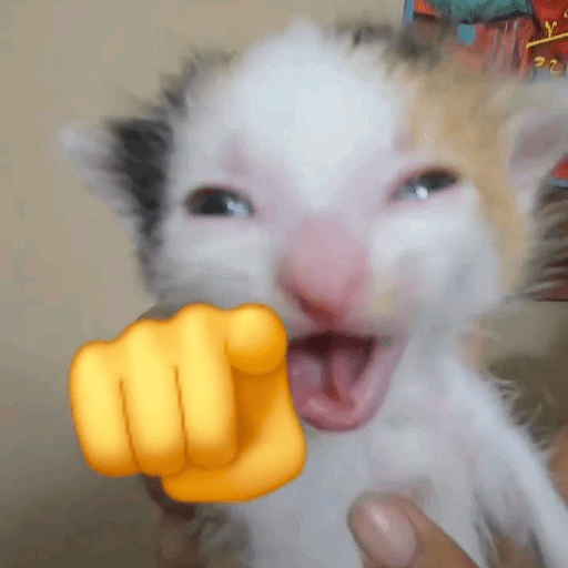 Cats 10 14