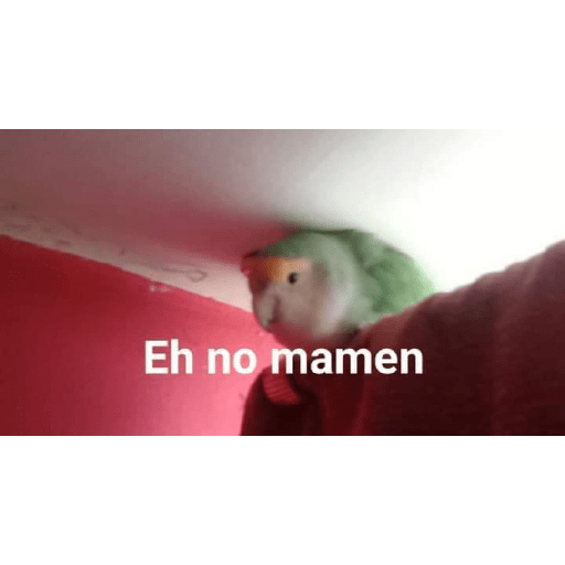 Nuevos 28