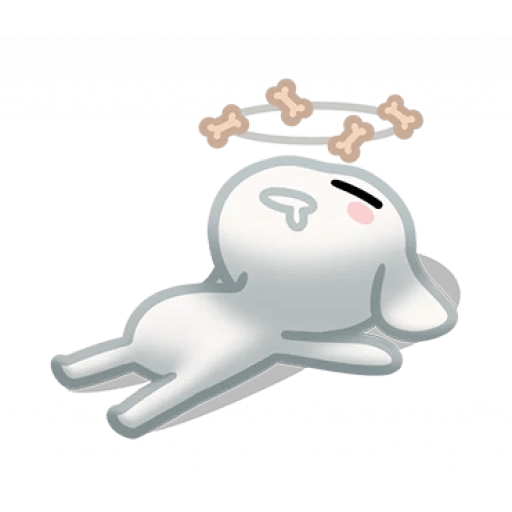 Perrito Blanco 🤍🐕 5
