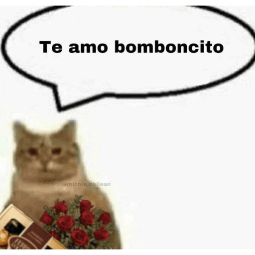 Cantadas gatinhos  3