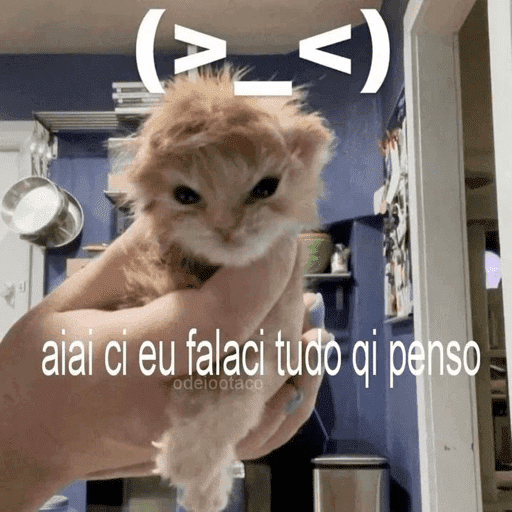 Cats 10 17