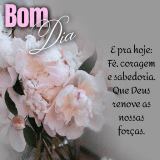 Bom dia  8