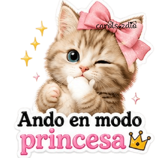 Gatos Coquette 💕🎀 11