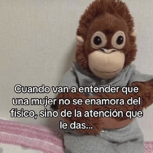 🧿Punch Frases♥️🦧🐒 2