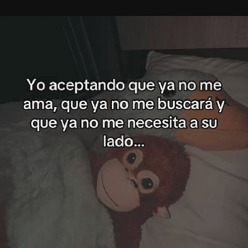🧿Punch Frases♥️🦧🐒 18