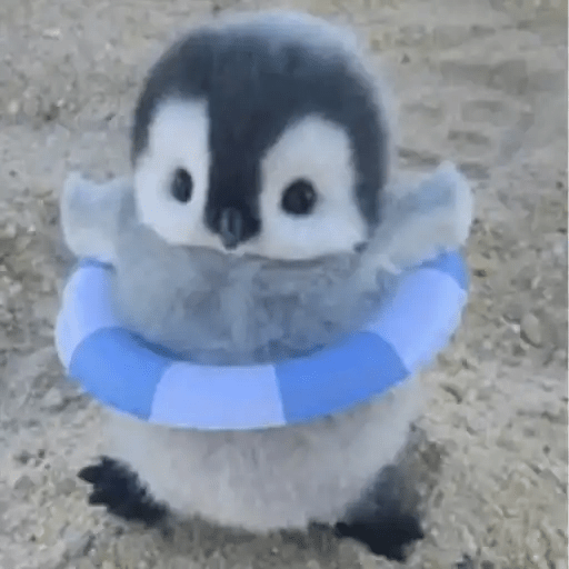 💓 Pingüinos bebé 2🐧 10