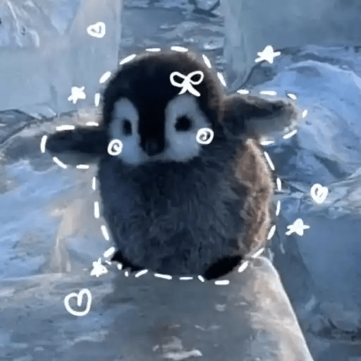 💓 Pingüinos bebé 2🐧 14