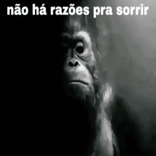 100% drama 3