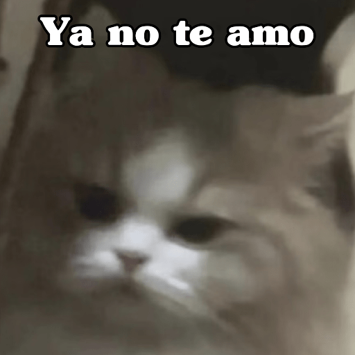 🧿 Dilo con michis 5😺 12