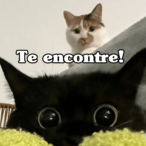 🧿 Dilo con michis 5😺 9
