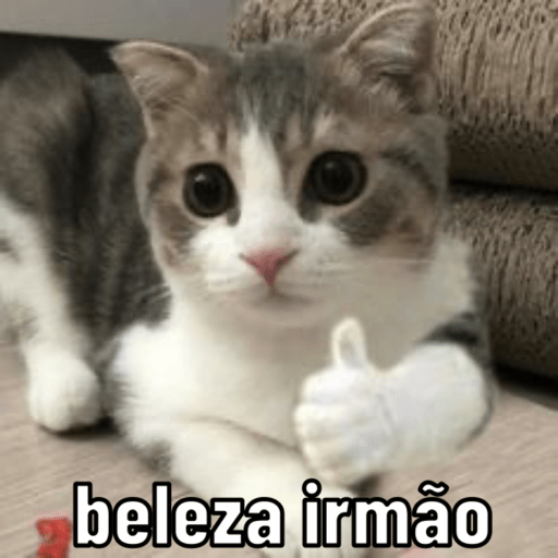 Memescat 🐾 7
