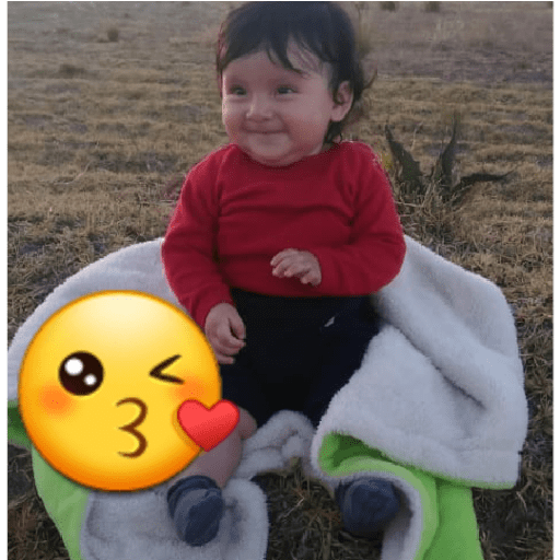 Los  polinesios 27