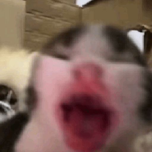 Honest Reaction 7