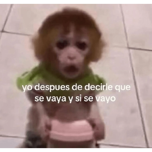 Monos 🤭 6