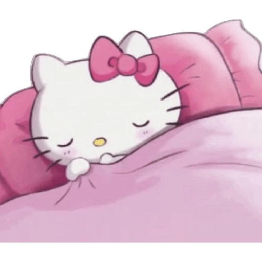 Kitty 😻 2