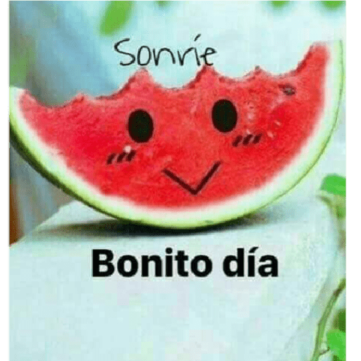 Los  polinesios 26