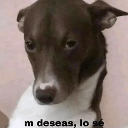 🐶Frases Doggy🐶 1