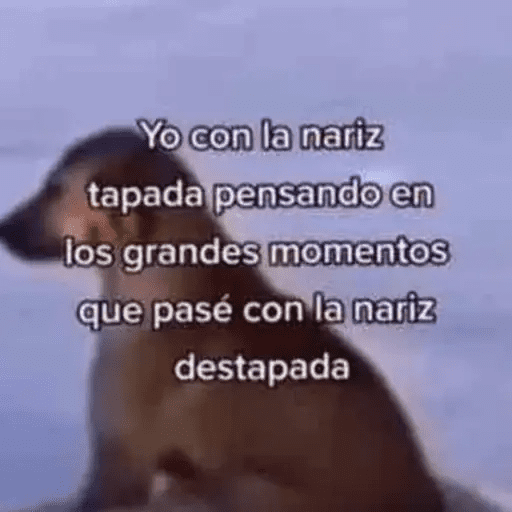Algo Random 5👽👾  12