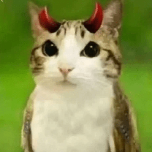 Meme Gato Random 🤣 xdxd 🐈 12