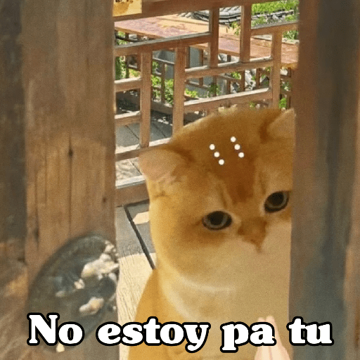 🧿 Dilo con Michis 4🐱 17