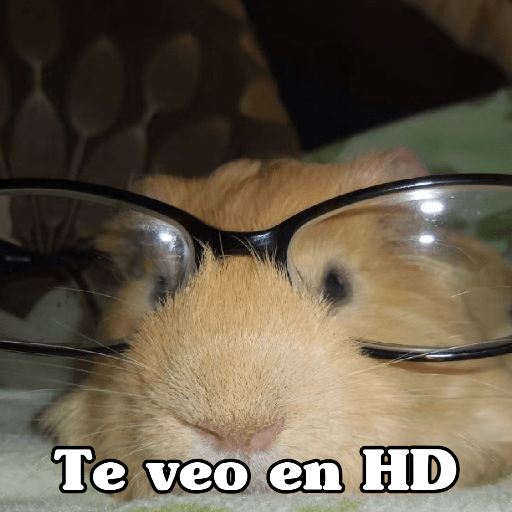 🧿 Hamster ratas roedores🐭🐁🐹🐀 1