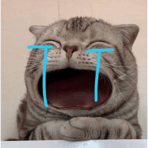 Meme kucing 9
