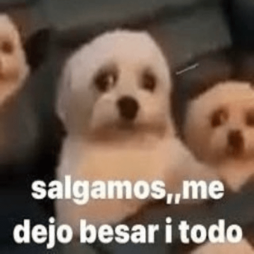 🐶Frases Doggy🐶 2