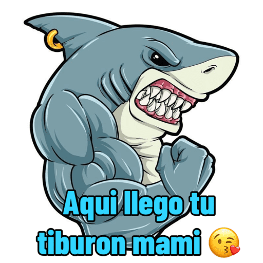 Tiburon 3