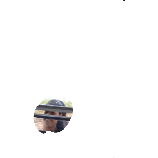 Mó paz 15
