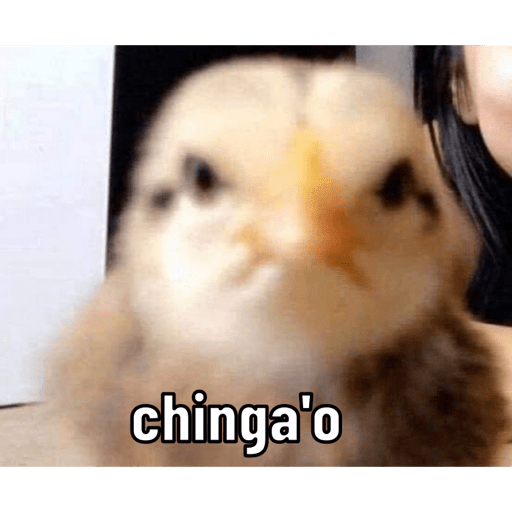 Memess lleve sus memeeeessss 30