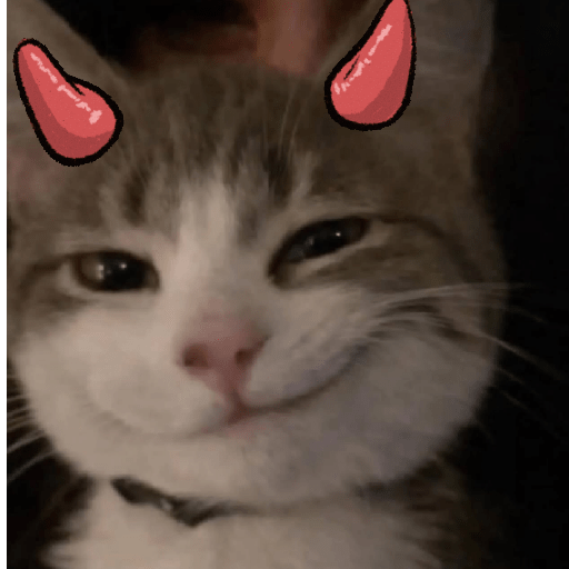 Gatos 3