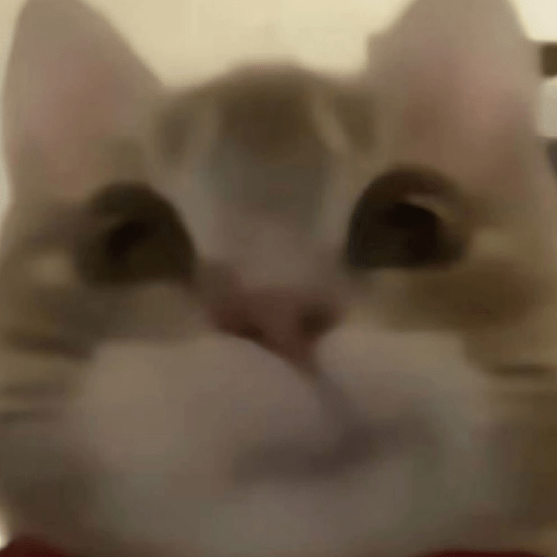 Gatos 8