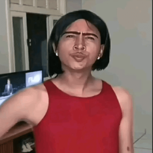Memes tiktok 15