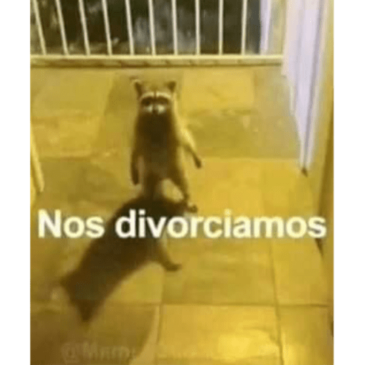 Amor hot 7