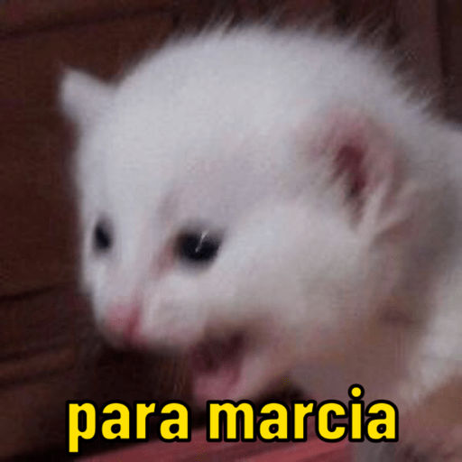 Memescat 🐾 2