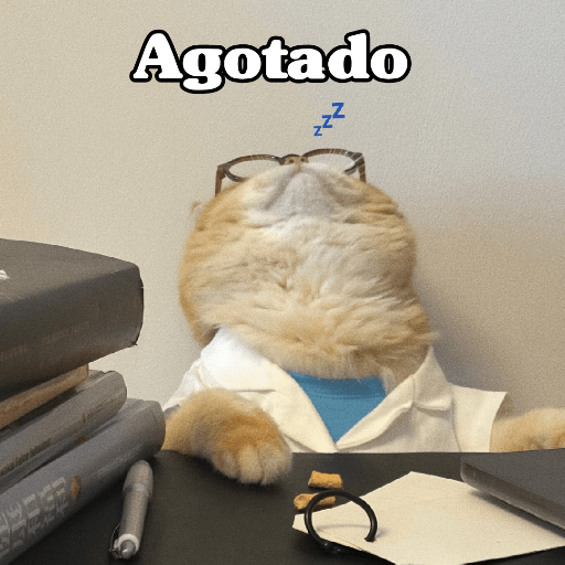 🧿 Dilo con Michis 4🐱 23