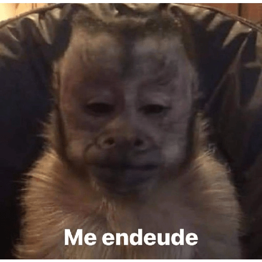 Monos 🤭 1