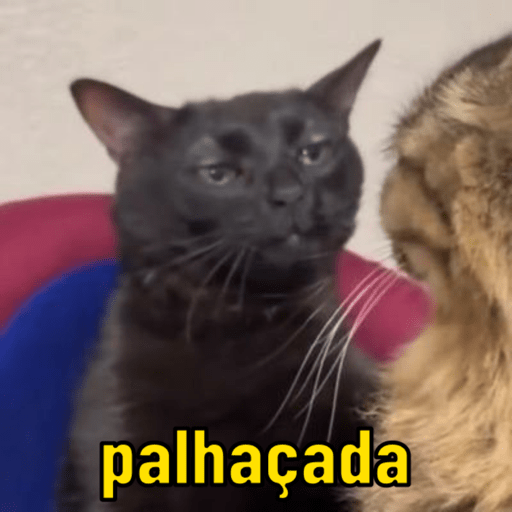Memescat 🐾 11