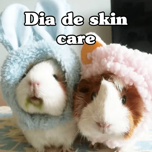 🧿 Hamster ratas roedores🐭🐁🐹🐀 8