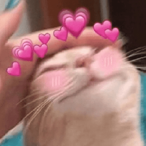 Gatitos 2 5