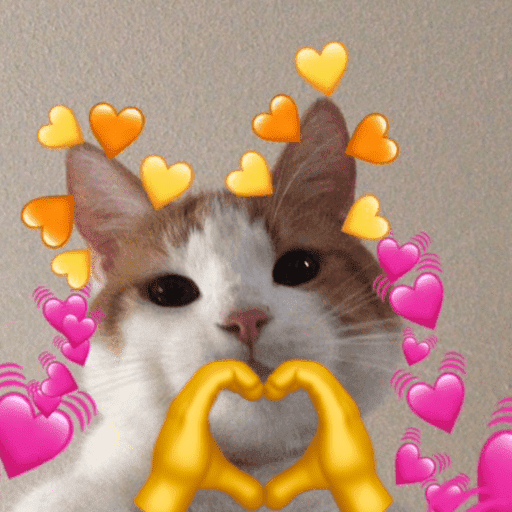 Gatinhos fofos 1