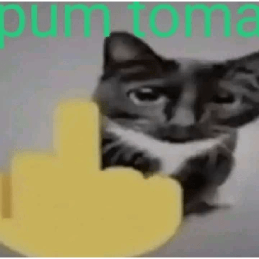  bueno 28