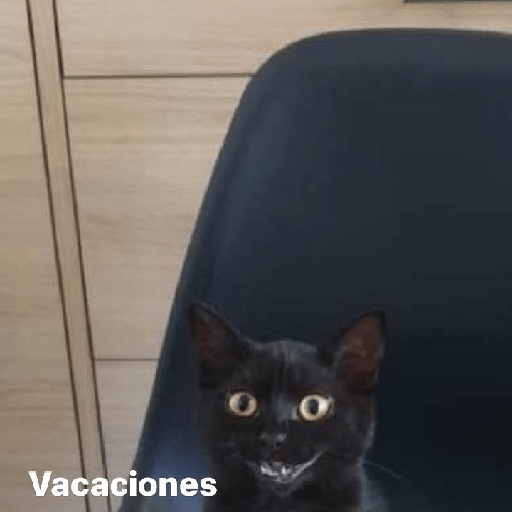Lol 18