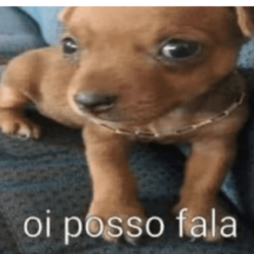 Macaco de Bigode 18