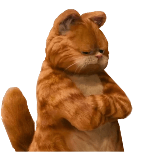 Garfield 2 🐱 6